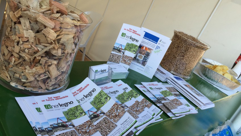 ultime novità-fiera faenza